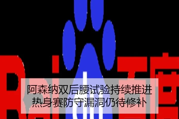 阿森纳双后腰试验持续推进 热身赛防守漏洞仍待修补
