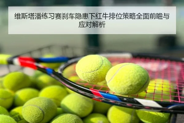 维斯塔潘练习赛刹车隐患下红牛排位策略全面前瞻与应对解析